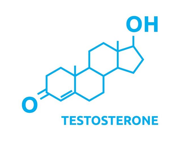 Augmentation de la testostérone après avoir utilisé Eroboost